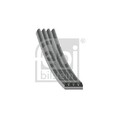 1x Keilrippenriemen FEBI BILSTEIN 28794 passend für CITROËN FIAT NISSAN