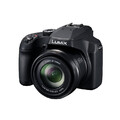 Panasonic Lumix DC FZ82D Bridgekamera mit 60-fach Zoom, einfache Bedienung,Blitz