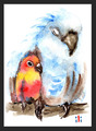ACEO Aquarelldruck niedliche Papageien Paar Kunst Malerei von ili