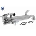 1x Kühler, Abgasrückführung VEMO V10-63-0129 passend für AUDI SEAT SKODA VW