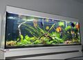 Aquarium EHEIM incpiria 530 mit Set