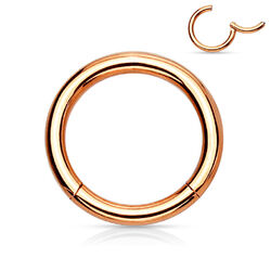 Scharnier Clicker Piercing Segment Ring Septum Universal Nasen Lippen Ohr