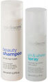 Hairdreams Beauty Shampoo 200 ml + ph&Shine Spray 150 0.35 l (94,00 €  / 1 l)
