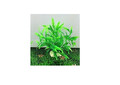 Künstliche Aquarium Wasserpflanze Grün 11cm hoch Kunststoff Pflanze Deko 1*