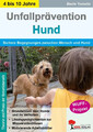 Unfallprävention Hund | Sichere Begegnungen zwischen Mensch und Hund | Tomulla