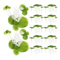  90 Pcs Künstliche Wasserlinsenpflanze Entengrütze Für Aquarien Wasserpflanzen