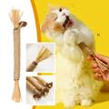 6x Katzenminze-Sticks Silvervine Dental Kausticks für Katzen