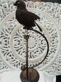 Viintage Metall Gartenschaukel Balance Vogel auf Ständer