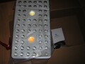 Phlizon LED Grow Light PH-B-L2 -230W optische Linsen  COB schaltbar V-B/Stronger