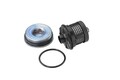 BorgWarner (AWD) Hydraulikfilter, Lamellenkupplung-Allradantrieb Gen I DS120456