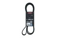 KAMOKA Keilrippenriemen 7016195 für CHRYSLER DODGE HYUNDAI KIA LEXUS