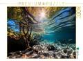 CALVENDO Puzzle In den Mangroven - tropische Fische | 2000 Teile Lege-Größe 90x6