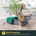 Brandneu Pet Zone Smart Scoop automatische selbstentleerende (klumpende) Katzentoilette