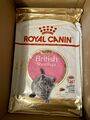 2 x 10 Kg Royal Canin BKH British Shorthair KITTEN Trockenfutter
