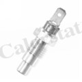 CALORSTAT by Vernet (WS2536) Sensor, Kühlmitteltemperatur für FORD NISSAN