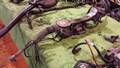 1K1423055K Elektronische Servolenkung  VOLKSWAGEN GOLF (1K) 1.9 TDI DPF Ber.