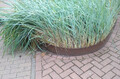 25 cm Rasenkantenband Beeteinfassung Edelrost rostig Rolle Band Palisade dick