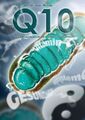 Co-Enzym Q10