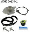 Wasserpumpe + Zahnriemensatz SKF VKMC 06134-1 für RENAULT CLIO ALMERA KUBISTAR 2