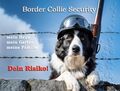 Warnschild Blechschild aus Aluminium - Motiv: Border Collie Security 