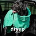 Dryup Cape mint Hundebademanel Trockencape Baumwollfrottee