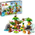 LEGO 10973 DUPLO Wilde Tiere Südamerikas Spielzeug-Set mit 7 Tierfiguren, Steine