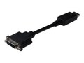 10x ASSMANN Adapterkabel DisplayPort Stecker auf DVI-I 24+5 Buchse 0,15m AWG28 d