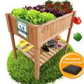 Hochbeet Kräuterbeet Anzuchtbeet Pflanzkasten Holz Pflanzfolie Ablage Frühbeet