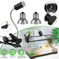 Schildkröten Wärmelampe Reptilien Terrarium Heizlicht UV Wärmespotlampe Strahler