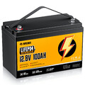 Lithium Batterie 12V 100Ah LiFePO4 H220 Akku BMS Wohnmobil 20000+ Zyklen Solar
