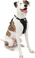 Kurgo Tru-Fit Hundegeschirr, Crash-Test-Erprobtes Auto-Sicherheitsgurt, Für Hund