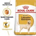ROYAL CANIN Labrador Retriever Adult 3 kg