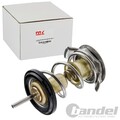 NTY THERMOSTAT FÜR SEPARATE GEHÄUSE passend für LAND ROVER DISCOVERY RANGE |