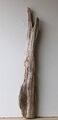 Treibholz Schwemmholz Driftwood 1 XXL Skulptur  Dekoration Terrarium 105 cm