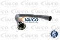 VAICO V42-0563 Ladeluftschlauch für CITROËN FORD MAZDA MINI PEUGEOT VOLVO