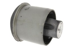 REINHOCH RH20-2019 Achskörperlager für RENAULT SCÉNIC II (JM0/1) Hinten