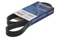 Keilrippenriemen DAYCO 6PK1117S