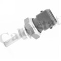 CALORSTAT by Vernet WS3002 Sensor, Kühlmitteltemperatur für FORD,KIA,NISSAN