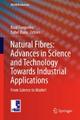 Natural Fibres: Advances in Science and Technology Towards Industrial Appli 3102