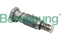 Spanner Steuerkette für Audi Skoda VW Seat A3 Cabrio Borsehung B1T012 2008-2022