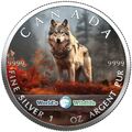 2024 Canada Farbmünze World´s Wildlife Wolf (2.)   1 OZ SILBER - COLOR EDITION