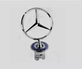 Emblem Stern Motorhaube Logo Mercedes-Benz W202 W203 W204 W210 W211 C E S CLK