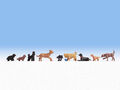 NOCH 15719 Hunde Katze Golden Retriever Dackel Pudel 9 Figuren H0 Neu