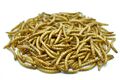 Mehlwürmer getrocknet 0,2 - 20 kg, Vogelfutter, Igelfutter, Hühner, Koi, Fische