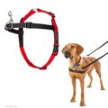 Dog Harness Company Of Animals Halti Black/Red L (80-120 Cm) NEU
