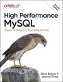 Silvia Botros Jeremy Tinley High Performance MySQL (Taschenbuch)