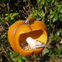 Vogelfutterplatz Vogelfutterstation Vogelfutterspender Vogelhaus Futtersilo 