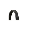 Keilrippenriemen CONTINENTAL CTAM 6DPK1195 für AUDI FORD SEAT SKODA VW