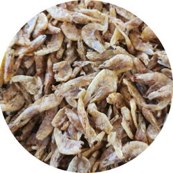 Süßwasser Shrimps Garnelen Fischfutter Reptilienfutter Teichfutter 2-4cm 1 l