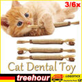 3/6X Katzenminze Sticks Silvervine Kausticks für Katzen für die Zahnpflege
